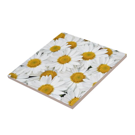 Daisies Tegeltje (Zijkant)