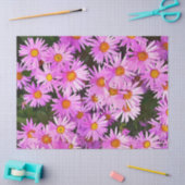 DAISIES TISSUEPAPIER (Craft)