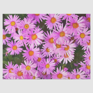 DAISIES TISSUEPAPIER