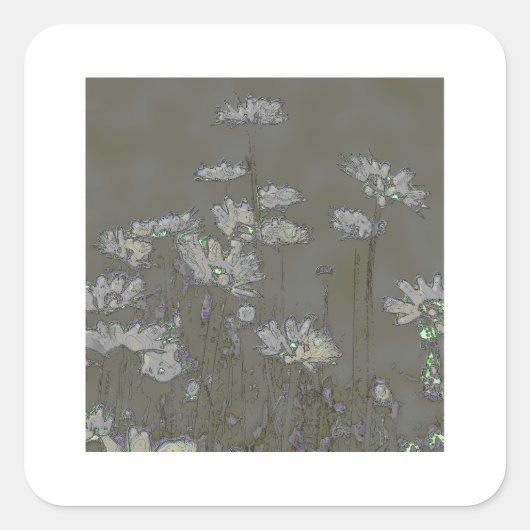DAISIES VIERKANTE STICKER (Voorkant)