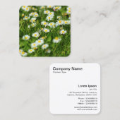 Daisies Vierkante Visitekaartje (Voorkant / Achterkant)