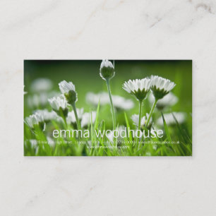 Daisies Visitekaartje