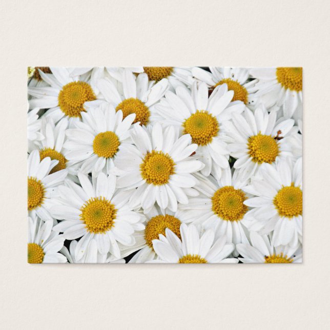 Daisies Visitekaartjes (Voorkant)