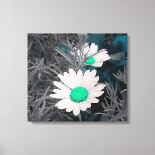 Daisies (w/Green) Wrapped Canvas Afdruk (Voorkant)