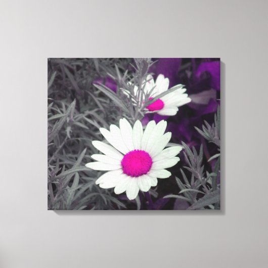 Daisies (w/Roze) Gewikkeld Canvas Afdruk (Voorkant)