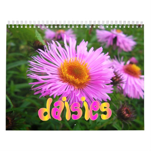 Daisies Wall Calendar Kalender (Hoes)