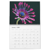 Daisies Wall Calendar Kalender (Jan 2027)