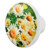 Daisies Waterverf Keramische Knop (Rechts)