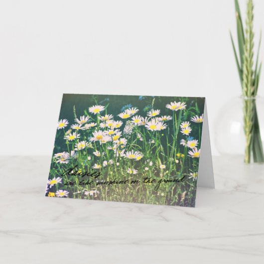 DAISIES-Wenskaart Bedankkaart (Voorkant)