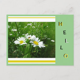 Daisies Wild Flowers Collage Cust. hallo Briefkaar Briefkaart