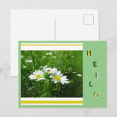 Daisies Wild Flowers Collage Cust. hallo Briefkaar Briefkaart (Voorkant / Achterkant)
