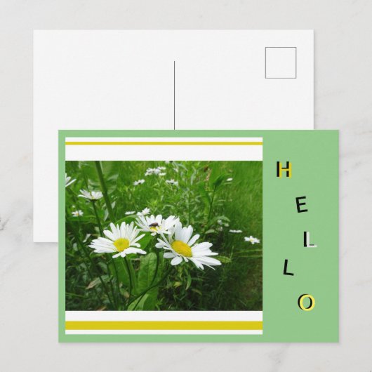 Daisies Wild Flowers Collage Cust. hallo Briefkaar Briefkaart (Voorkant / Achterkant)
