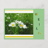 Daisies Wild Flowers Collage Cust. hallo Briefkaar Briefkaart (Voorkant)