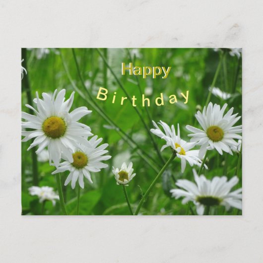 Daisies Wild Flowers Cust. Happy Birthday Briefkaa Briefkaart (Voorkant)
