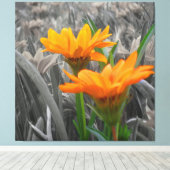 Daisies Wrapped Canvas Afdruk (Insitu (Houten vloer))