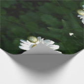 Daisies Wrapping Paper Cadeaupapier (Hoek)