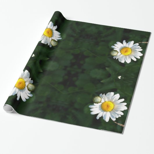 Daisies Wrapping Paper Cadeaupapier (Uitgerold)