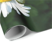 Daisies Wrapping Paper Cadeaupapier (Rol Hoek)