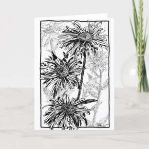 Daisies, zwart + wit, op gevouwen kaart