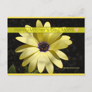 Daisy2 op Moederdag | Blue Beach Song™-Briefkaart Briefkaart