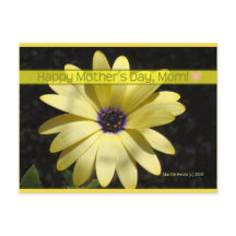 Daisy2 op Moederdag | Blue Beach Song™-Briefkaart