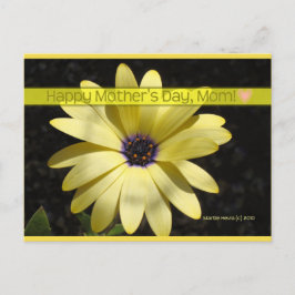 Daisy2 op Moederdag | Blue Beach Song™-Briefkaart Briefkaart