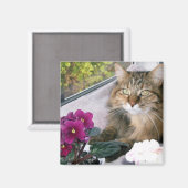 Daisy 4 magneet (Voorkant / Achterkant)