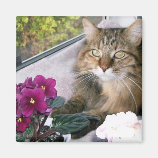 Daisy 4 magneet (Voorkant)