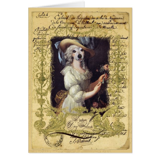 Daisy Antoinette (Voorkant)