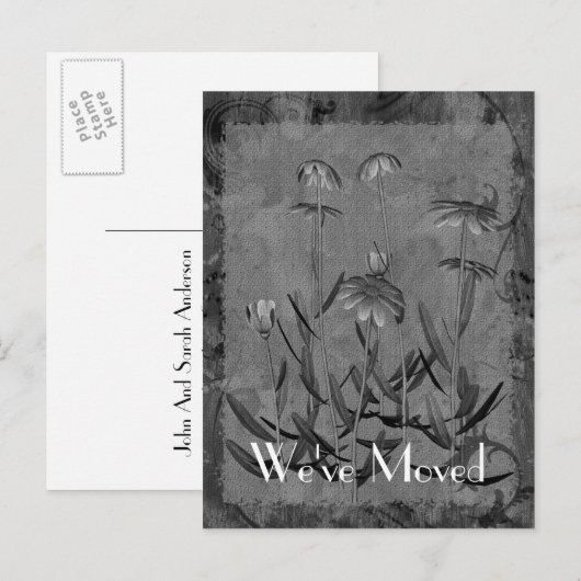 Daisy Art New Address Floral Briefkaart (Voorkant / Achterkant)