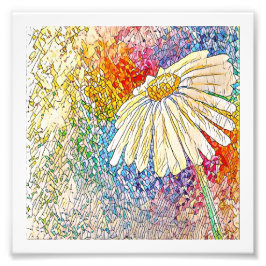 Daisy Art Print Foto Afdruk