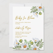 Daisy Baby Borrel Kaart (Voorkant)