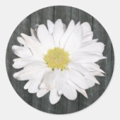 Daisy & Barnwood Sticker (Voorkant)