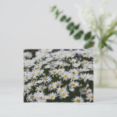 Daisy Bed Briefkaart (Staand voorkant)