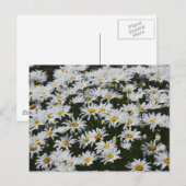 Daisy Bed Briefkaart (Voorkant / Achterkant)