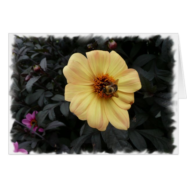 Daisy Bee-kaart (Voorkant Horizontaal)