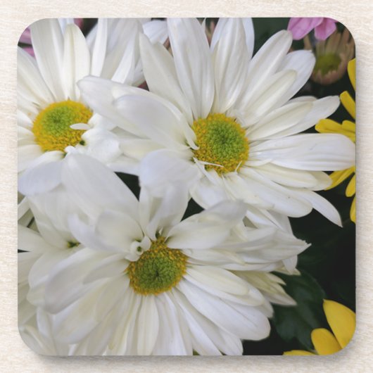 Daisy Bier Onderzetter (Voorkant)