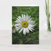Daisy Birthday Card Kaart (Voorkant)