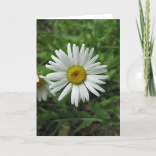 Daisy Birthday Card Kaart