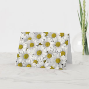 Daisy Birthday Kaart