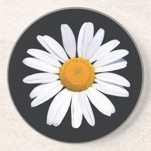 Daisy Black onderzetter (Voorkant)