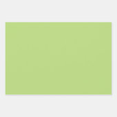 Daisy Bloem en Paarse Gingham Inpakpapier Vel (Voorkant 3)