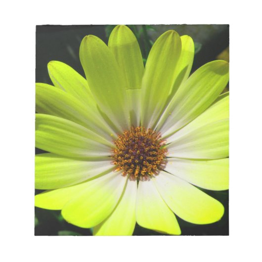 Daisy Bloem Fluorescerend Geel Notitieblok (Voorkant)