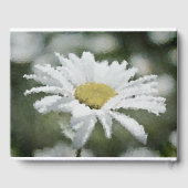 Daisy, bloem, zomer gastenboek (Achterkant)