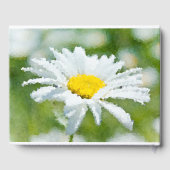 Daisy, bloem, zomer gastenboek (Achterkant)