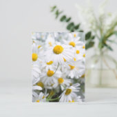 Daisy bloemen briefkaart (Staand voorkant)