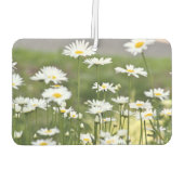 Daisy bloemen foto luchtverfrisser (Achterkant)