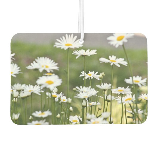 Daisy bloemen foto luchtverfrisser (Voorkant)