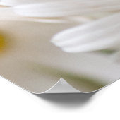 Daisy bloemen poster (Hoek)