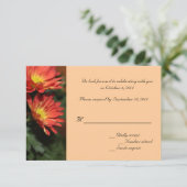 Daisy-bloemen RSVP-trouwkaarten Kaart (Staand voorkant)